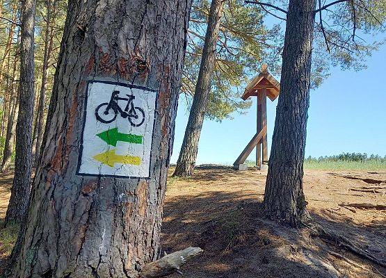 Namalowany na drzewie znak szlaku rowerowego zielonego i  żółtego informujący o skręcie w lewo.