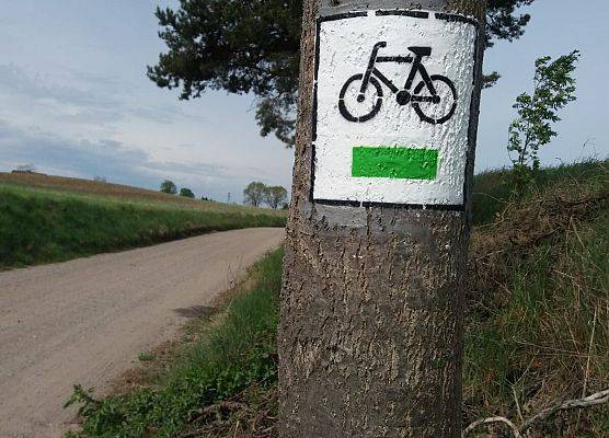 Zdjęcie przedstawiające ozakowanie zielonego szlaku rowerowego.