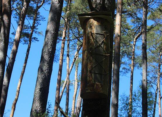 Kłoda bartna z logo parku zawieszona na drzewie i przygotowana do sezonu.
