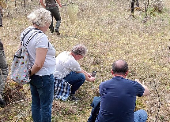 Kilkoro uczestników sympozjum szukających owadów na torfowisku.