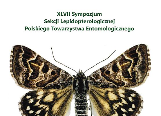 Strona z tytułowa z sympozjum, w górnej części loga, poniżej tytuł, pośrodku rysunek ćmy.