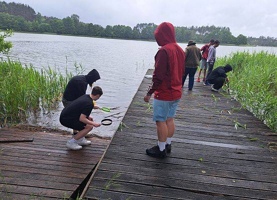 Kilkoro uczestników warsztatów stoi i kuca na pomoście i pobiera próby do dalszych badań.