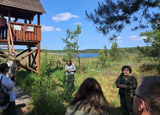 Widok na postulowanego rezerwatu "Lipno" z platformą obserwacyjną.