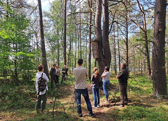 Grupa osób patrzące na wiszącą na drzewie kłodę bartną.