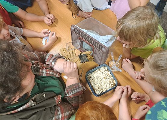 Widok z góry na prowadzącą i czestników. Prowadząca pokazuje jak wygląda nietoperz z bliska.