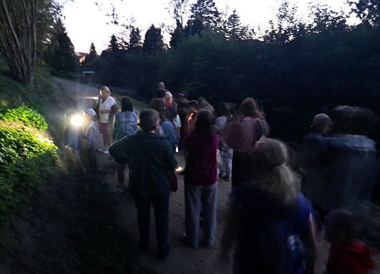 Uczestnicy o zmroku wypatrujący przelatujących nietoperzy.