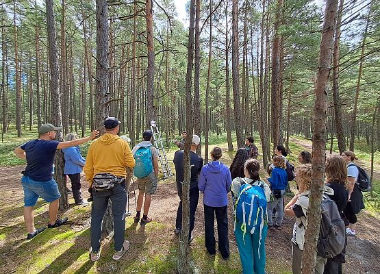 Osoba oprowadzająca grupę w lesie wskazuje coś wśród drzew, podczas gdy uczestnicy uważnie obserwują