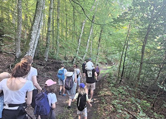 Rodziny spacerują leśną ścieżką w słoneczny dzień.