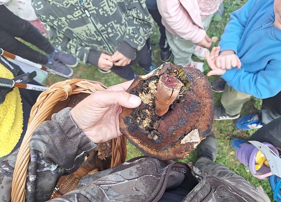 Dzieci oglądają duży grzyb trzymany nad koszem z okazami.