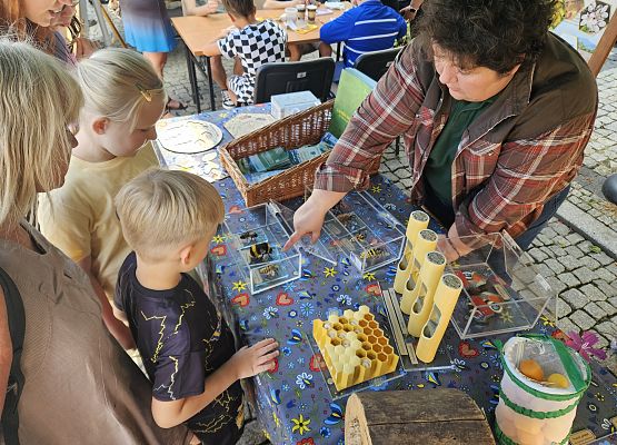 Dzieci ogadają modele owadów