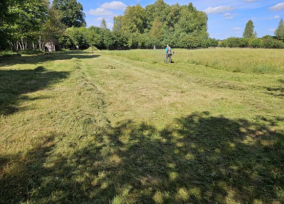 Ręczne, przy pomocy kosy spalinowej koszenie łąki po wypasie owiec.