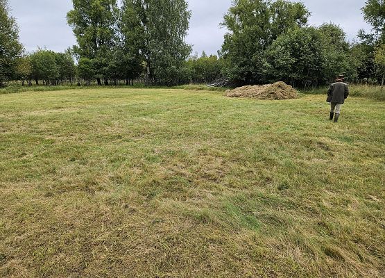Widok łąki, która została wykoszona po zakończonym wypasie owiec