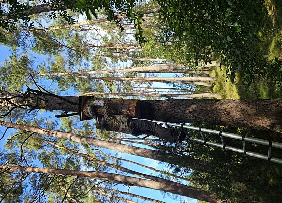Zamknięta kłoda po ostatnim dokarmianiu, przed zimą konieczne uszczelnienie.