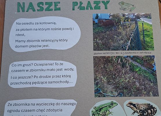 Praca w formie plakatu z lewej strony przyklejone "chmurki" z tekstem rymowanki, po prawj stronie zdjęcia miejsca obserwacji płzaów i 2 gatunków płazów. tekst rymowanki przylkejony