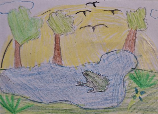 Rysunek zbiornika wodnego. Na środku jeziora narysowana jest zielona żaba, za zbiornikiem rosną 3 drzewa, a po niebie lecą czarne ptaki.