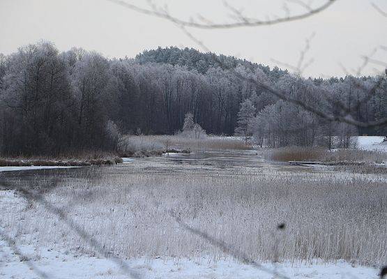 Widok na jezioro Jezierznia w zimowej okrywie.