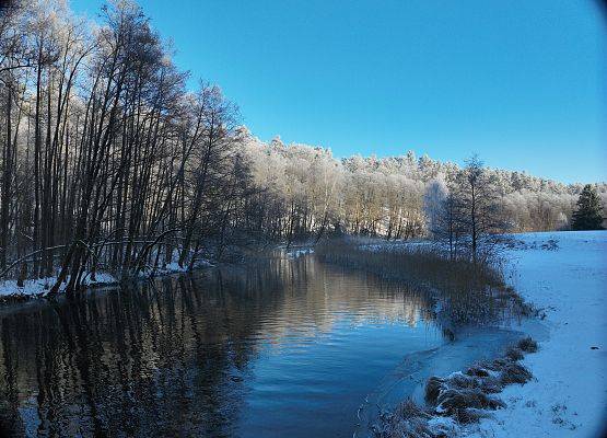 Rzeka Wda, fot. K. Libera Widok na rzekę Wda.