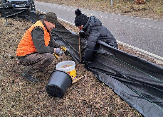 Pracownicy Parku podczas wykonywania wygrodzeń, fot. A.Penk Pracownicy Parku montują materiał blokujący przejście płazów na drogę.