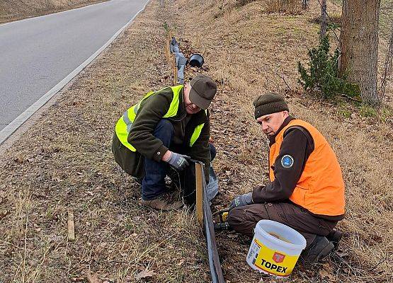 Pracownicy Parku podczas wykonywania wygrodzeń, fot. A.Penk Pracownicy Parku montują materiał blokujący przejście płazów na drogę.