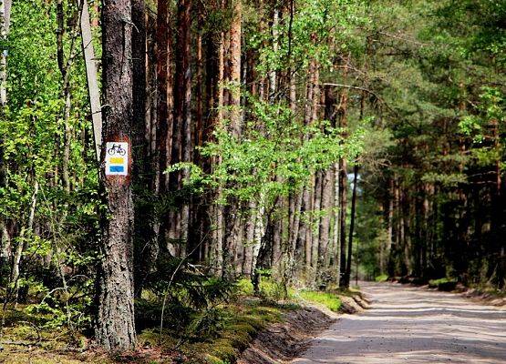 Grafika 10: Zapraszamy do korzystania z odnowionych szlaków turystycznych Wdzydzkiego Parku Krajobrazowego