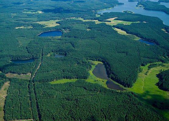 Krajobraz sandrowy, porośnięty lasem z licznymi oczkami-na zachód od jeziora Wdzydze