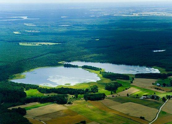 Planowany rezerwat przyrody "Jezioro Lipno i Lipionko"