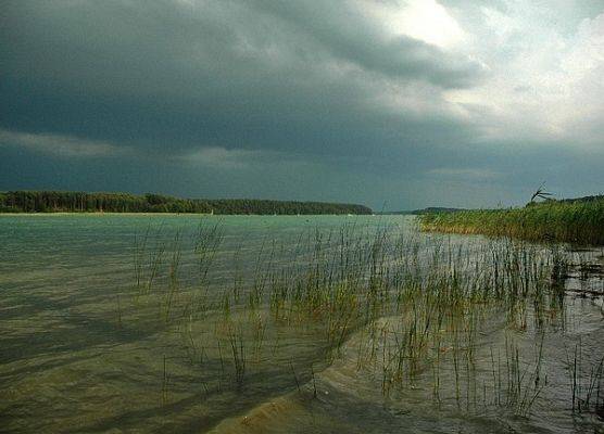 Jezioro Wdzydze w miejscowości Rów