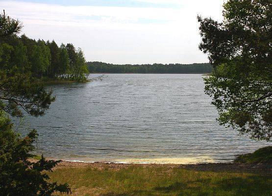 Jezioro Czyste i jego brzeg porośnięty przes las fot. M.Lorenc