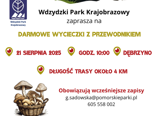 Grafika Darmowe wycieczki z przewodnikiem 2025