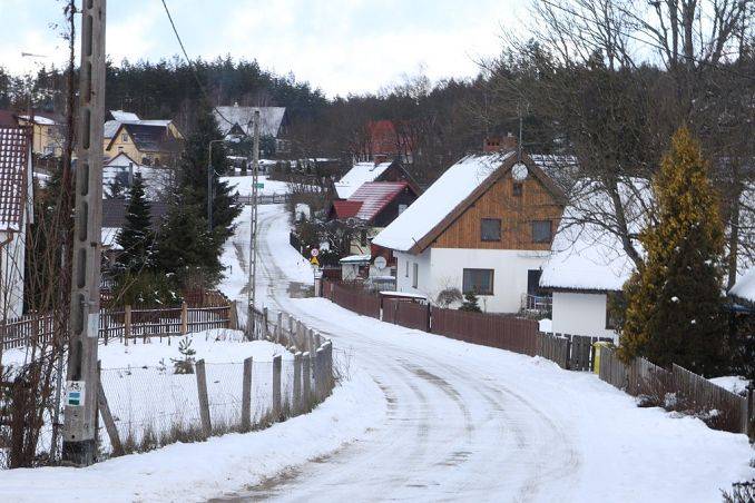 Zimowy spacer we Wdzydzkim Parku Krajobrazowym grafika