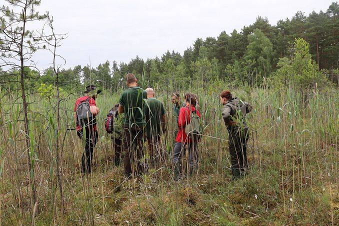 Czynna ochrona torfowisk na obszarze Wdzydzkiego Parku Krajobrazowego grafika