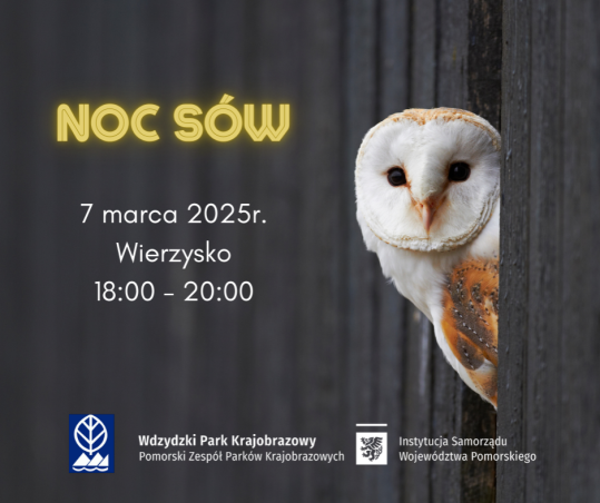 Grafika Noc sów z Wdzydzkim Parkiem Krajobrazowym