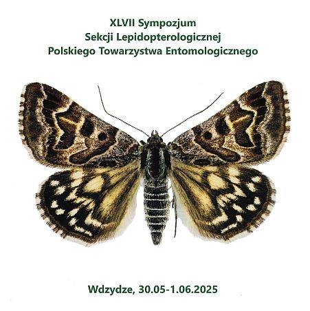 Sympozjum Sekcji Lepidopterologicznej Polskiego Towarzystwa Entomologicznego Grafika Sympozjum Sekcji Lepidopterologicznej Polskiego Towarzystwa Entomologicznego
