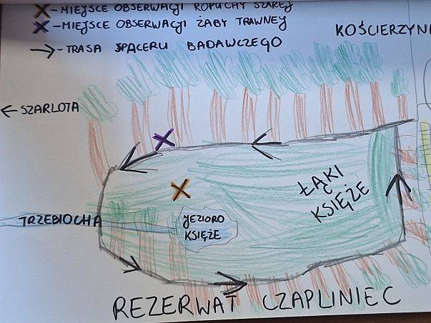 Grafika Nasze płazy - rozstrzygnięcie konkursu