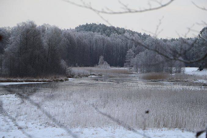 Grafika Zimowe ptakoliczenie