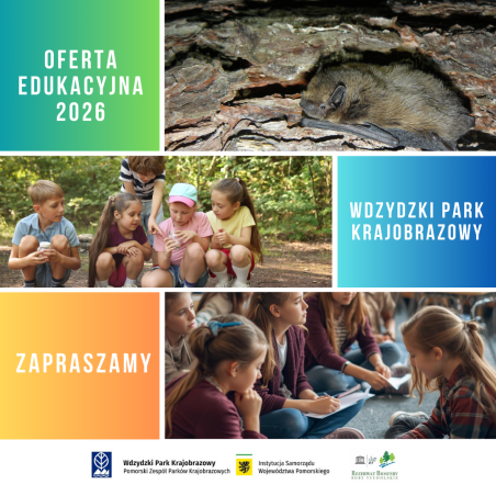Grafika Oferta edukacyjna 2026